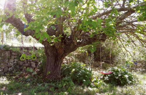 Bastide Provençale Les Mûriers d'Engaspaty - Foto 66