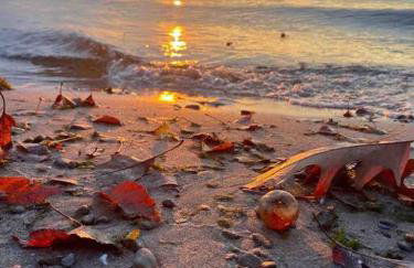 Riverside Cabin with Private Fishing Access! - Foto 20