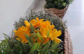 Casa Flamenca - Foto 17