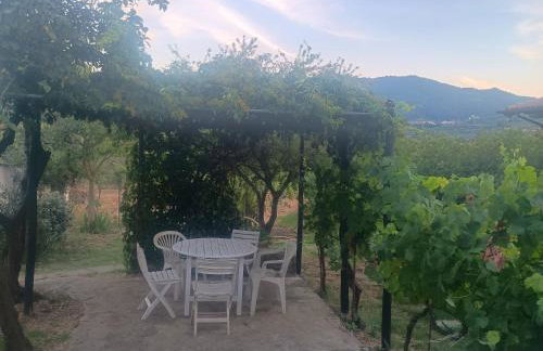Casa Branchetti - Foto 19