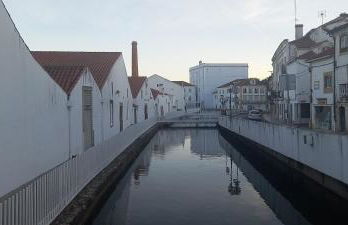 Love Tomar - Foto 46