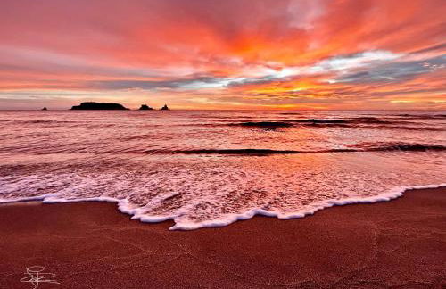 Estartit Delta 4C - Foto 43