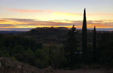 Sota Picasso - Foto 40