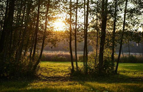 Sercem i Kopytem - Foto 28