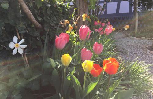 Privat Apartment- Near Strasbourg, Baden Baden - Foto 33