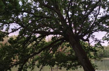 Gîte confort Les Grandes Maisons et Espace Bien Être - Photo 36