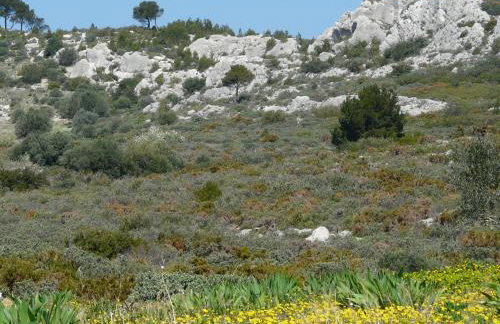 luxury mas with private infinity pool in the heart of the alpilles, 10 persons - Foto 65