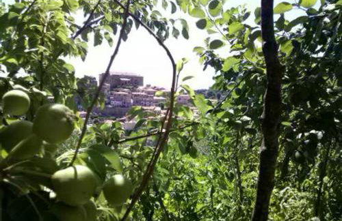 le case dei fiori - Foto 69