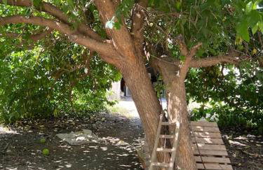 Casa cercana a la playa - Foto 41