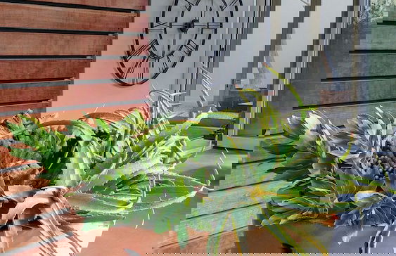 Mosselberg on Grotto Beach - Foto 73