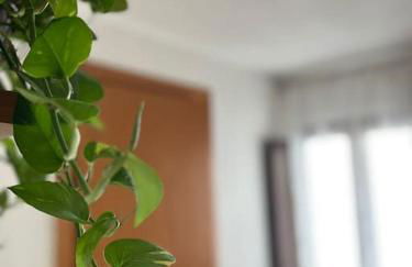 Palazzo Giardinello - Foto 11