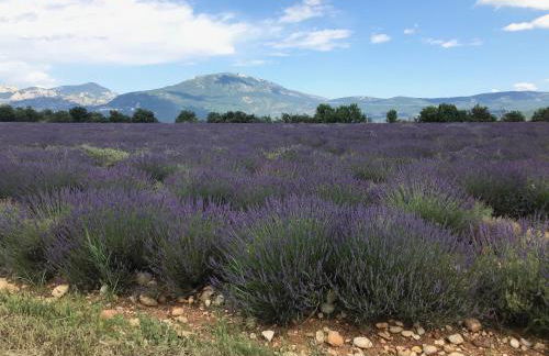 Les Arcades - Foto 41