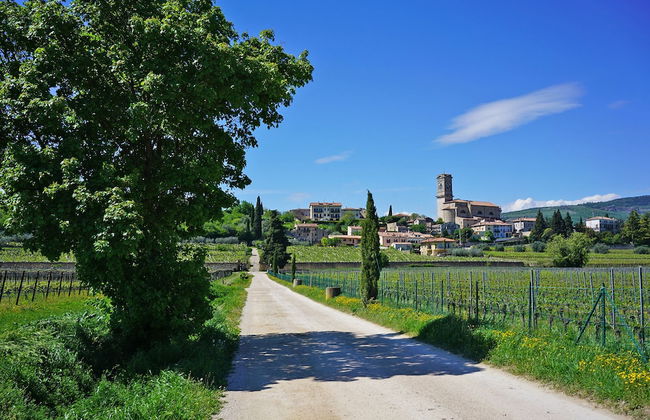 Domus Cariana - Photo 41