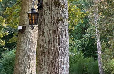 Country house in Forest of Rambouillet - Foto 25