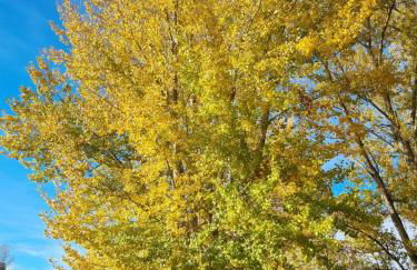 Casa la Tia - Foto 56