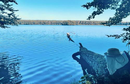 Landhaus Himmelpfort - Foto 10