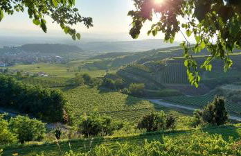 Ferienwohnung vino9 - Foto 22