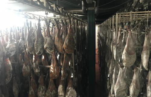 La Apañaora - Foto 37