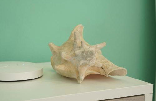 Relax nel Centro Storico - Foto 31