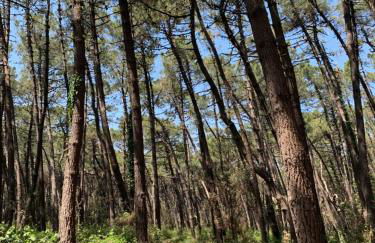 Apartment Casa delle Palme by Interhome - Photo 66