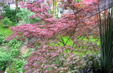 Spa Aphrodite, Wohlfühlen und Wellness mit Privatsphäre, sowie Homeoffice Arbeitsplatz mit schnellem 250 Mbit WLAN - Foto 61