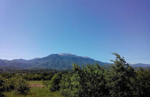 GITE DE NOGAROLS - Foto 25