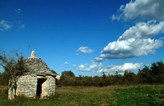 Istrian Villa Fendi Rebici - Foto 21