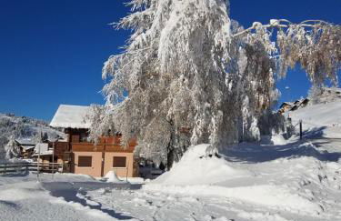 Les Saisies côté Bisanne appartement dans chalet LE Népal - Foto 9