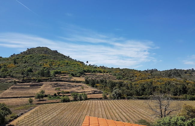 A Casa do Professor - Foto 1