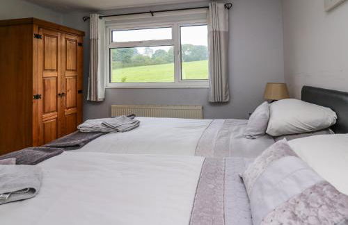 Aberdauddwr - Foto 25