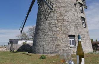Windmühle Tultewitz - Foto 19
