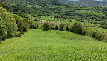 Tuscany Nature Relax - Foto 1