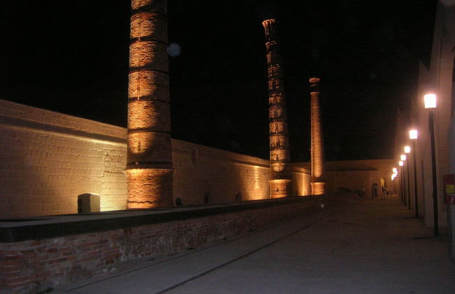 Room in House - Magical Holidays in a Dammuso in Favignana Nestled in a Wonderful Pine Forest - Photo 15