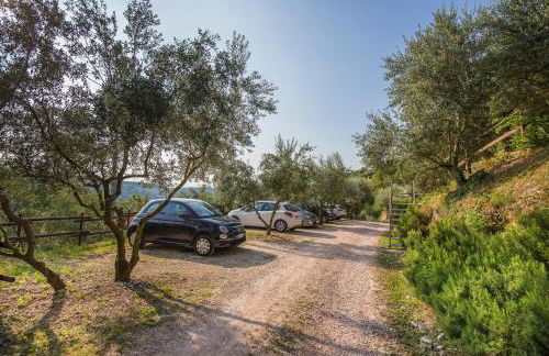 Agriturismo Casa Zen - Foto 28