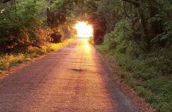 Little Ridge Ranch-East House Quiet Country Getaway-Pet Friendly! - Foto 32