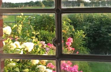 Hoheluft am Wittensee Apt 1 - Foto 22