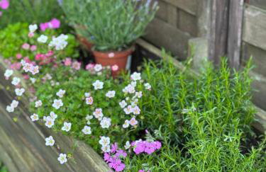 Corner House Plesna - Foto 36