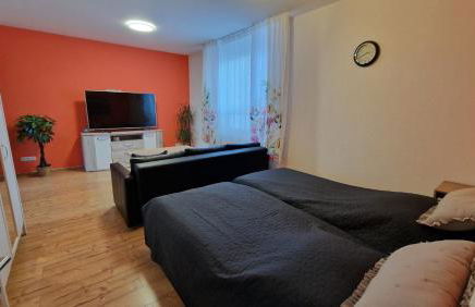 Familienfreundliche große Fewo Peter in Bärenstein bis 5 Personen - Foto 22