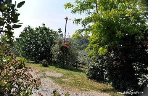 Agriturismo Il Sasso - Foto 19