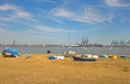 Wellie Stern - Foto 42