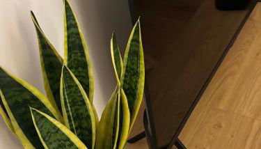 Une Place A Part - Foto 4