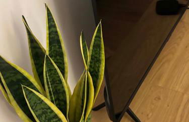 Une Place A Part - Foto 4