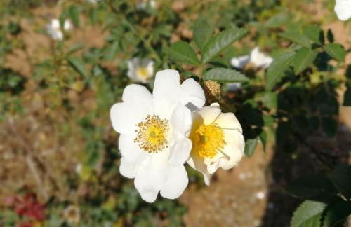 SANCHEZ Y LASERNA STAYS Amplia casa en Denia cerca del mar y la montaña - Foto 41