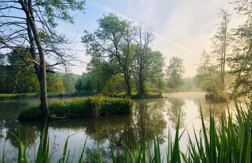 Gîte Martin pêcheur au coeur de la nature - Foto 2