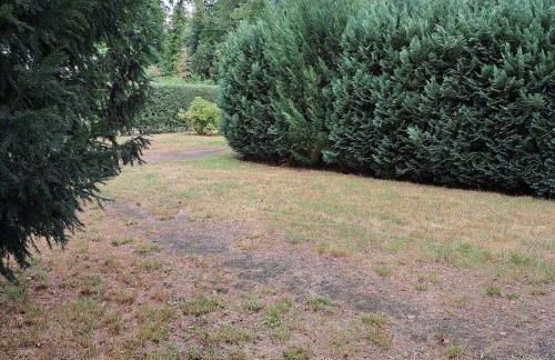 Exclusives Ferienhaus am Kulkwitzer See - Photo 32