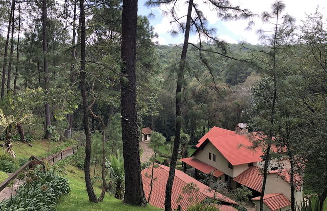 Cabañas del Rio - Foto 20