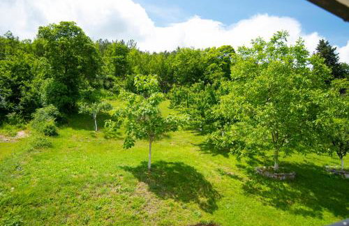 Stone house with 4 bedrooms and beautiful view - Foto 37