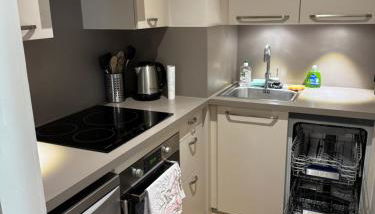 Chamonix city center rue Paccard - Foto 3