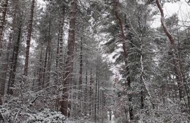 Mamat Ferienwohnungen - Foto 29