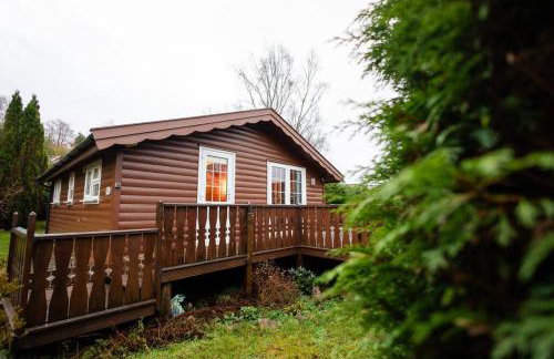 Rural Log Cabin in Snowdonia near Coed y Brenin by Seren Short Stays - Foto 38
